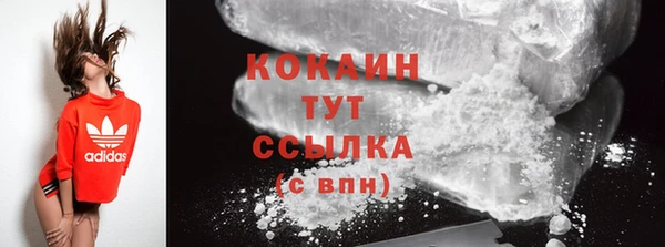 ГАЛЛЮЦИНОГЕННЫЕ ГРИБЫ Абаза