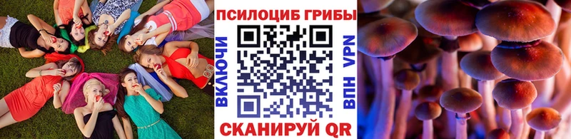Галлюциногенные грибы прущие грибы Дербент